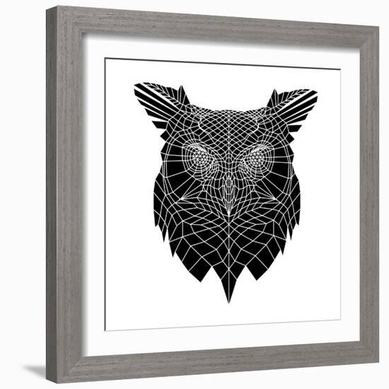 Black Owl Head Mesh-Lisa Kroll-Framed Art Print