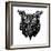 Black Owl Head Mesh-Lisa Kroll-Framed Art Print