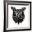 Black Owl Head Mesh-Lisa Kroll-Framed Art Print