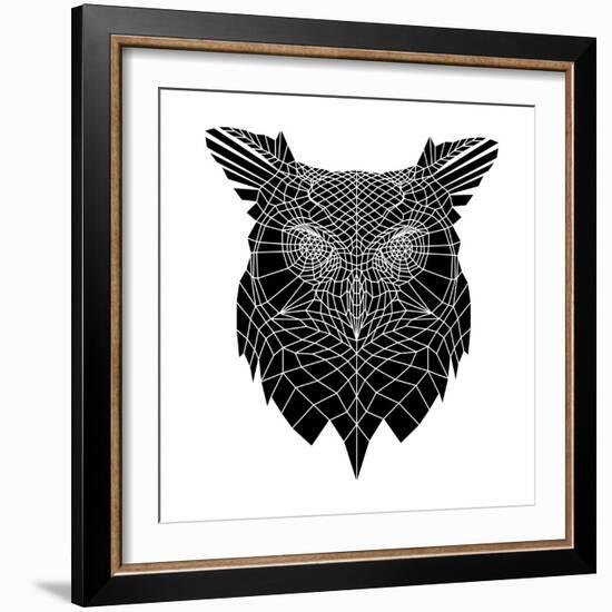 Black Owl Head Mesh-Lisa Kroll-Framed Art Print