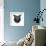 Black Owl Head Mesh-Lisa Kroll-Framed Art Print displayed on a wall