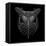 Black Owl Mesh-Lisa Kroll-Framed Stretched Canvas