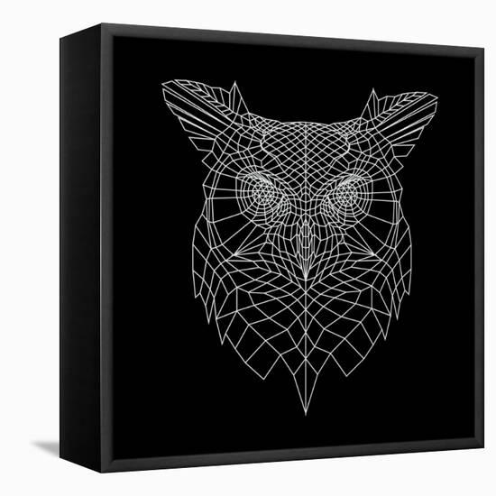 Black Owl Mesh-Lisa Kroll-Framed Stretched Canvas