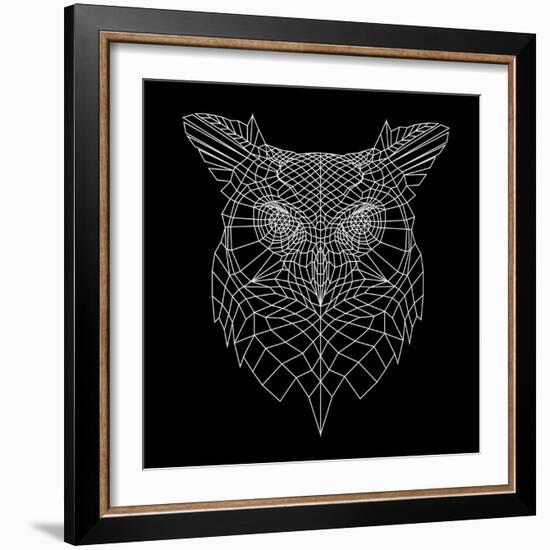 Black Owl Mesh-Lisa Kroll-Framed Art Print