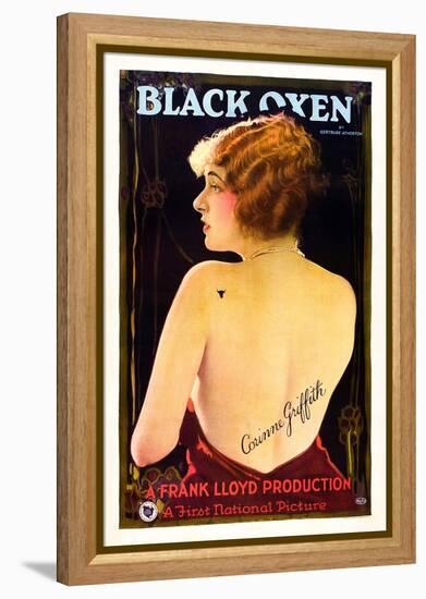 Black Oxen-null-Framed Stretched Canvas