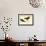 Black Oystercatcher-John James Audubon-Framed Art Print displayed on a wall