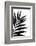 Black Palms I-Renée Stramel-Framed Photographic Print