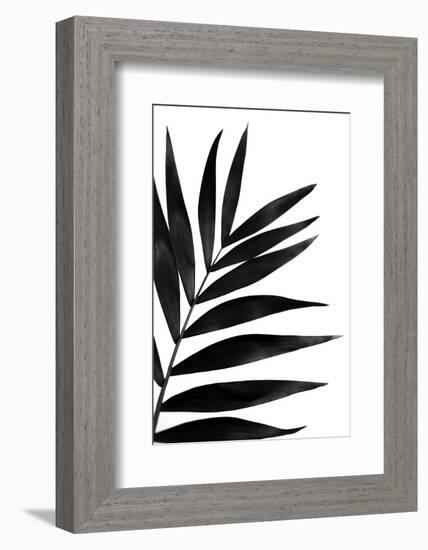 Black Palms I-Renée Stramel-Framed Photographic Print