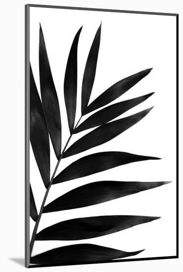 Black Palms I-Renée Stramel-Mounted Photographic Print