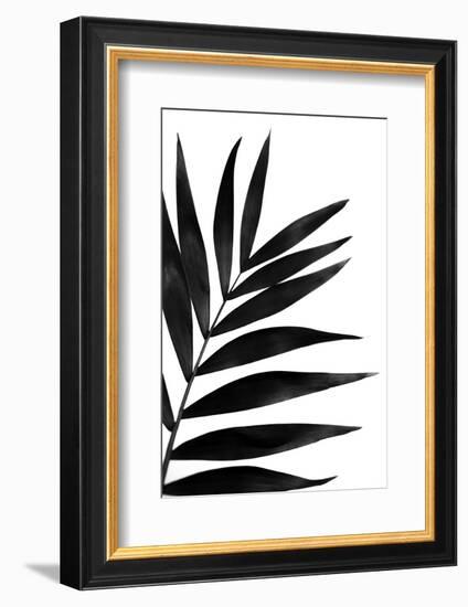 Black Palms I-Renée Stramel-Framed Photographic Print
