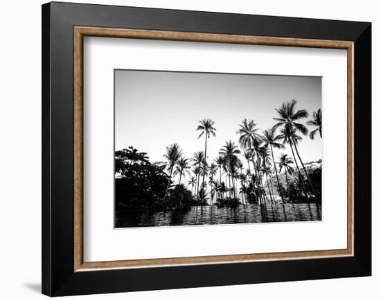 Black Palms on Samui island-null-Framed Art Print