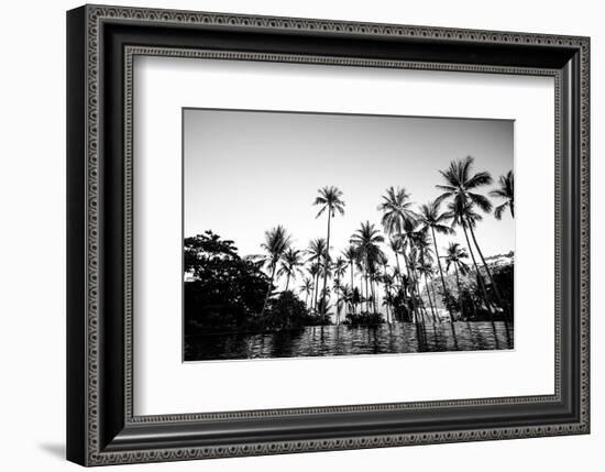 Black Palms on Samui island-null-Framed Art Print