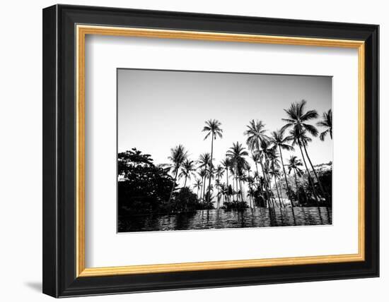 Black Palms on Samui island-null-Framed Art Print