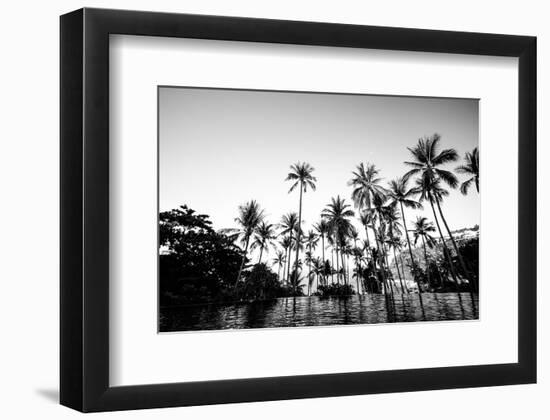 Black Palms on Samui island-null-Framed Art Print