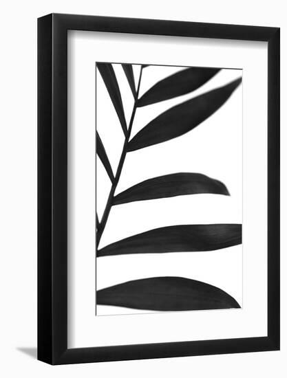 Black Palms V-Renée Stramel-Framed Photographic Print