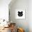 Black Panda-Lisa Kroll-Framed Premium Giclee Print displayed on a wall