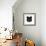 Black Panda-Lisa Kroll-Framed Art Print displayed on a wall