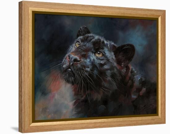 Black Panther 3-David Stribbling-Framed Stretched Canvas