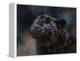 Black Panther 3-David Stribbling-Framed Stretched Canvas