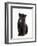 Black Panther Cub, 16 Weeks Old-null-Framed Photographic Print