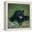 Black Panther Sitting in Grass-DLILLC-Framed Premier Image Canvas