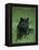 Black Panther Sitting in Grass-DLILLC-Framed Premier Image Canvas