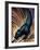 Black Panther-Frank Mcintosh-Framed Art Print