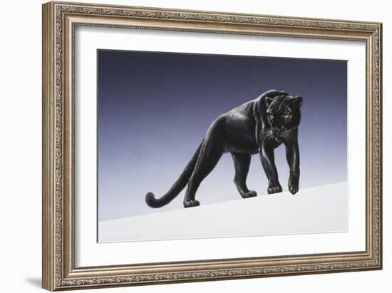 Black Panther-Harro Maass-Framed Giclee Print