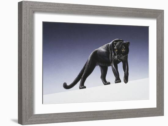 Black Panther-Harro Maass-Framed Giclee Print