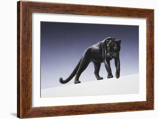 Black Panther-Harro Maass-Framed Giclee Print