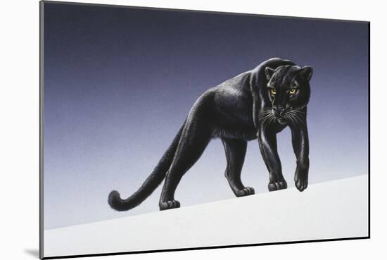 Black Panther-Harro Maass-Mounted Giclee Print