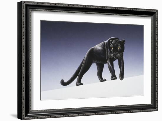 Black Panther-Harro Maass-Framed Giclee Print