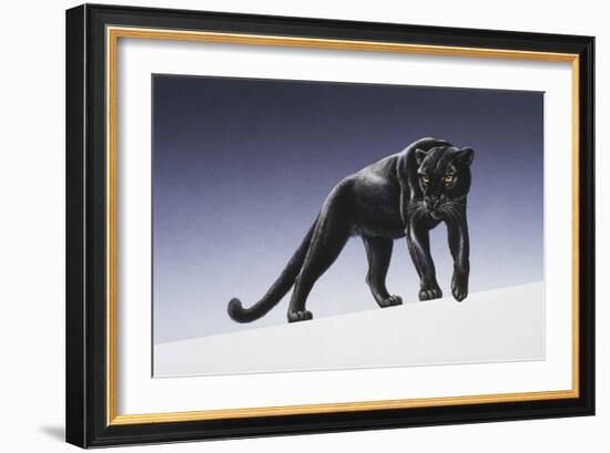 Black Panther-Harro Maass-Framed Giclee Print