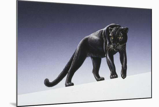 Black Panther-Harro Maass-Mounted Giclee Print