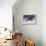 Black Panther-Harro Maass-Framed Premier Image Canvas displayed on a wall