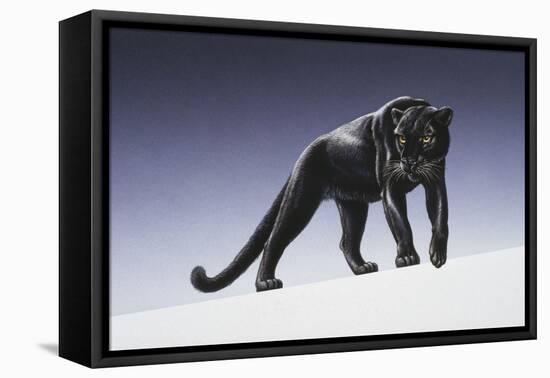 Black Panther-Harro Maass-Framed Premier Image Canvas