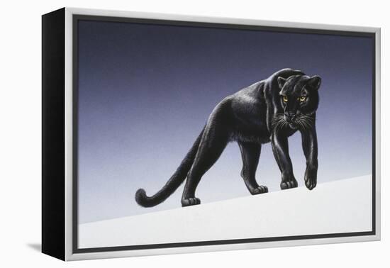 Black Panther-Harro Maass-Framed Premier Image Canvas