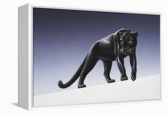 Black Panther-Harro Maass-Framed Premier Image Canvas