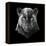 Black Panther-Lisa Kroll-Framed Stretched Canvas