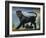 Black Panther-Ikahl Beckford-Framed Giclee Print