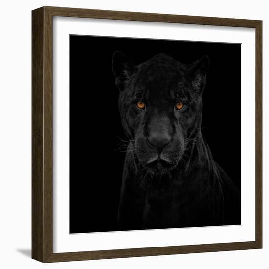 Black Panther-Mathilde Guillemot-Framed Giclee Print