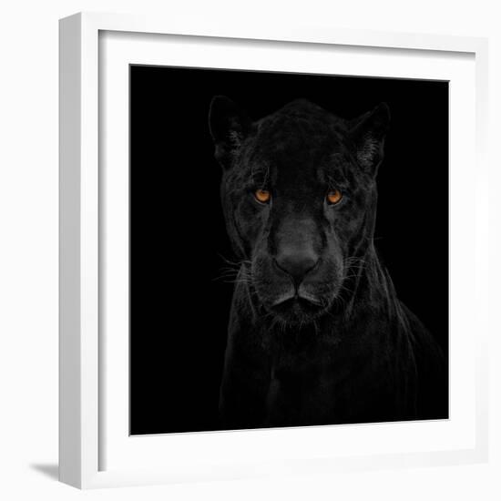 Black Panther-Mathilde Guillemot-Framed Giclee Print