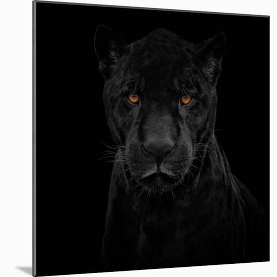 Black Panther-Mathilde Guillemot-Mounted Giclee Print