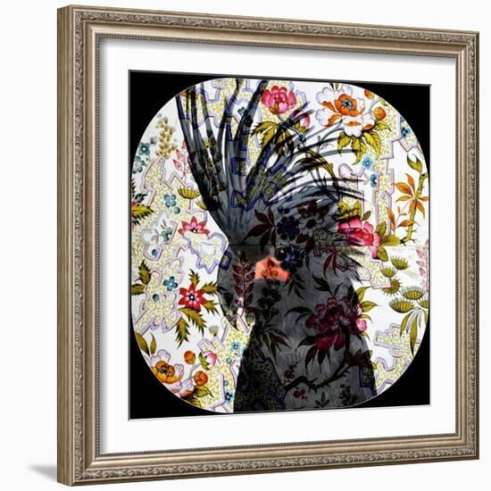 Black Parrot-Linda Arthurs-Framed Giclee Print