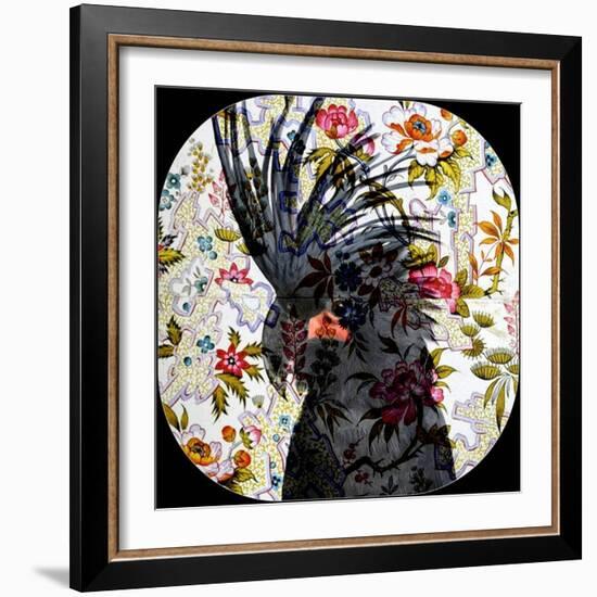 Black Parrot-Linda Arthurs-Framed Giclee Print