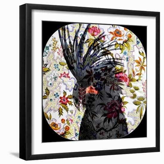 Black Parrot-Linda Arthurs-Framed Giclee Print