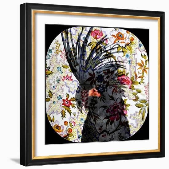 Black Parrot-Linda Arthurs-Framed Giclee Print