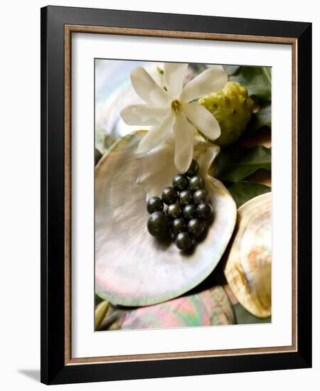 Black Pearl Farming at Hinano Pearl Farm, Fakarava, Tuamotus, French Polynesia-Michele Westmorland-Framed Photographic Print