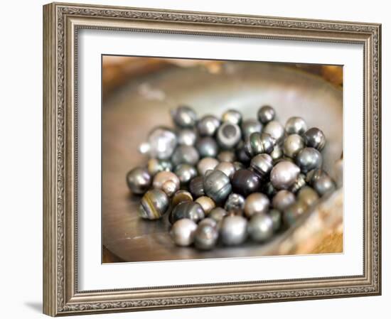 Black Pearl Farming at Hinano Pearl Farm, Fakarava, Tuamotus, French Polynesia-Michele Westmorland-Framed Photographic Print