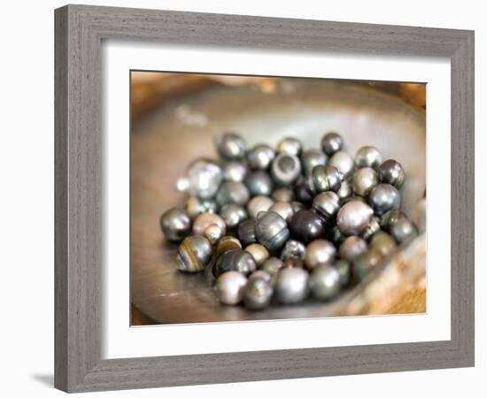 Black Pearl Farming at Hinano Pearl Farm, Fakarava, Tuamotus, French Polynesia-Michele Westmorland-Framed Photographic Print